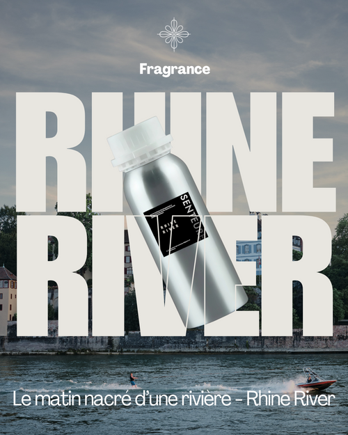 The Rhine River
