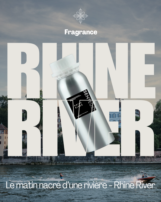 The Rhine River